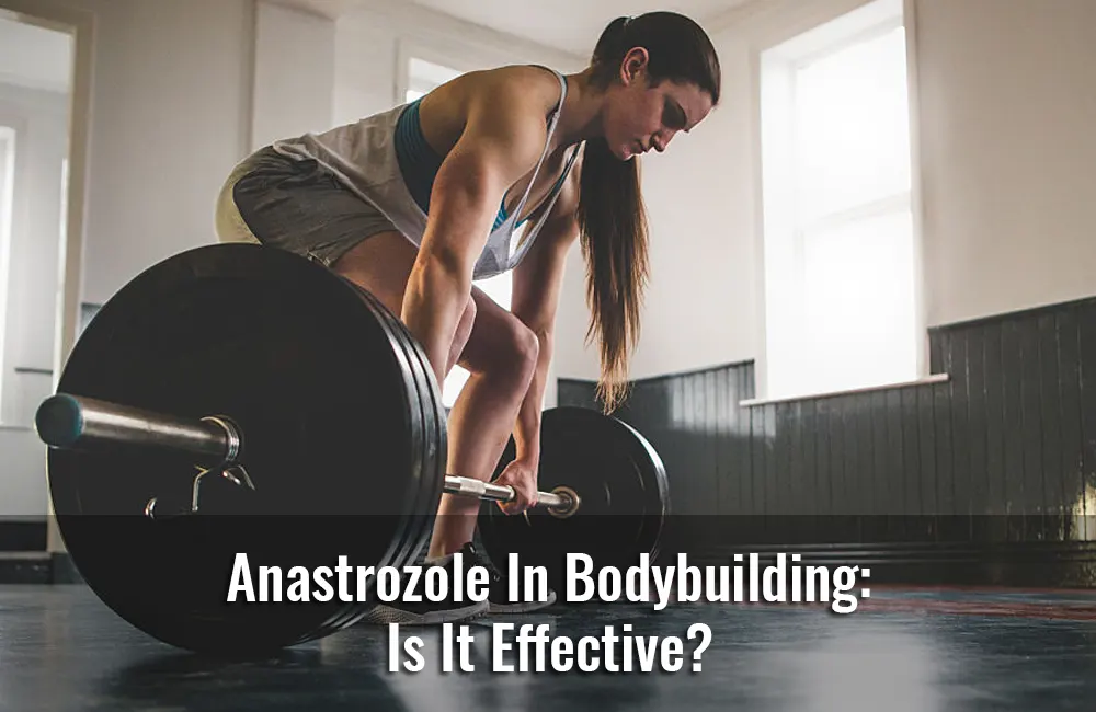 Anastrozole In Bodybuilding