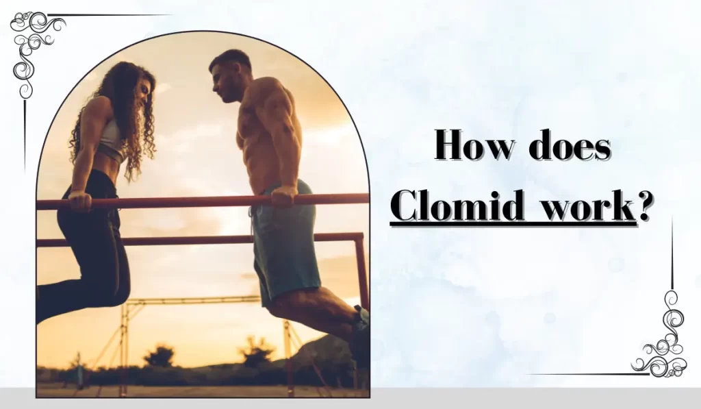 How does Clomid work?