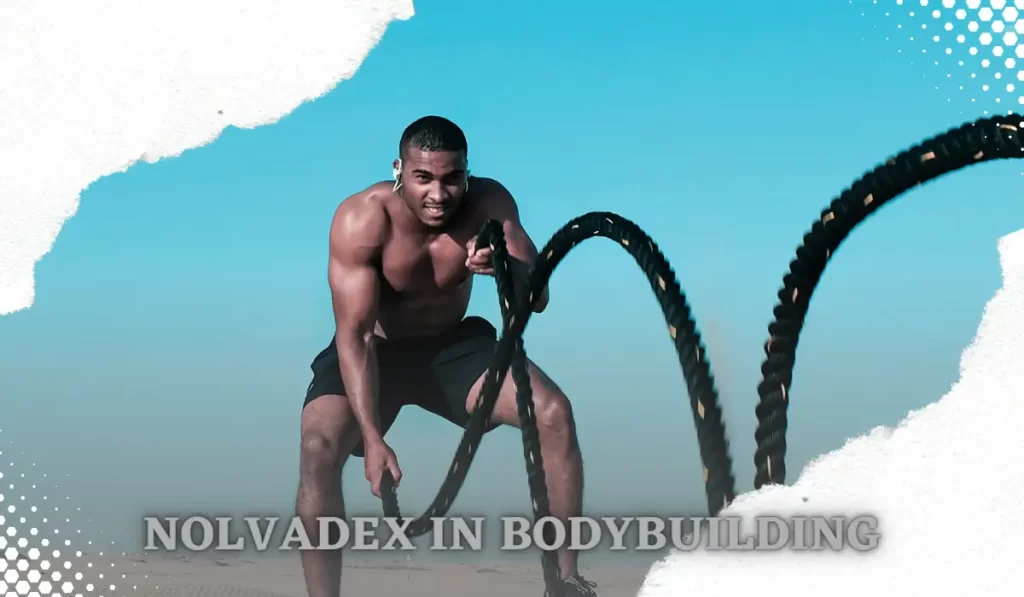 Nolvadex in Bodybuilding