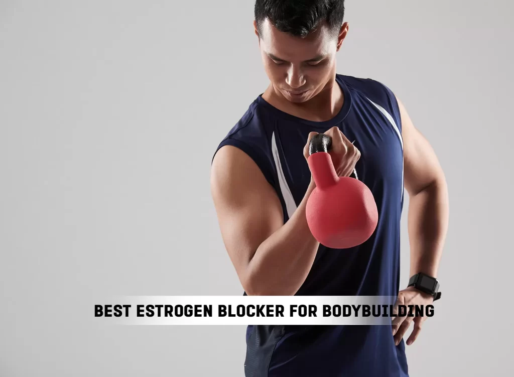 Best Estrogen blocker