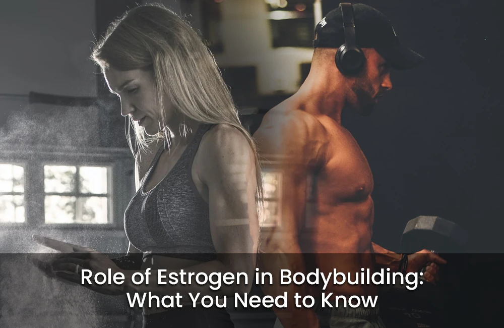 Role of Estrogen in bodybuilding
